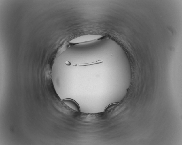 X0000112930384200909141338