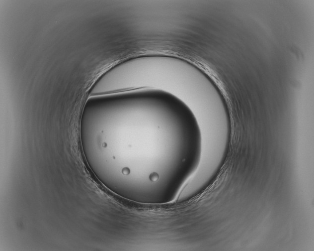 X0000112930385200909141338