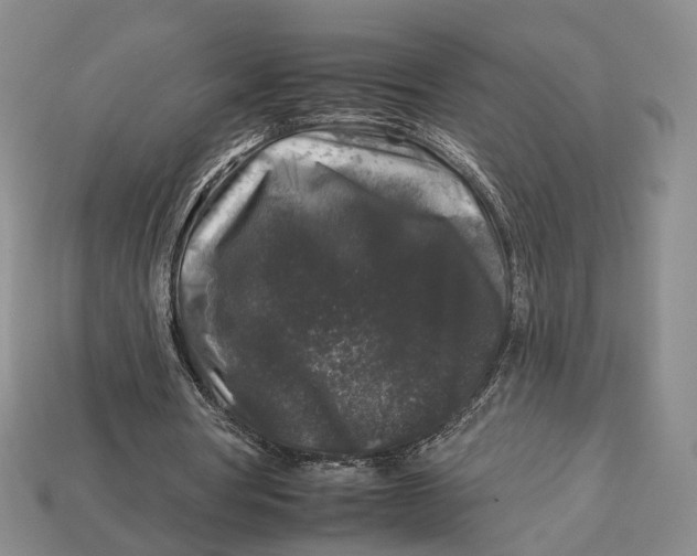 X0000112930386200909141338