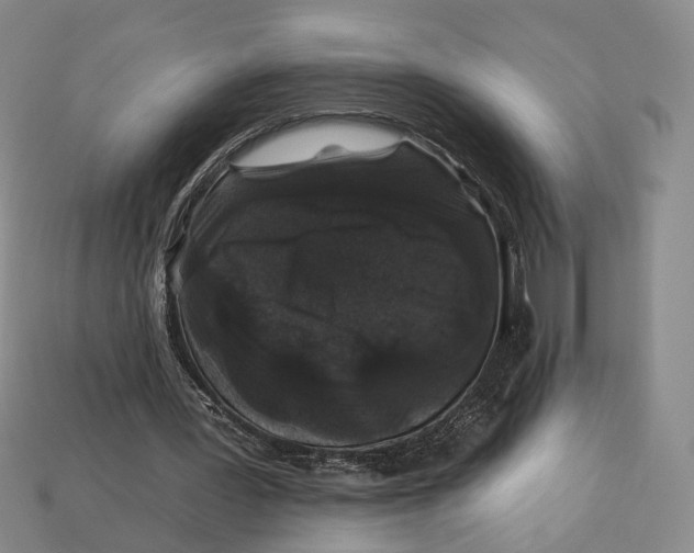 X0000112930387200909141338