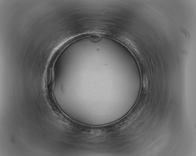 X0000112930388200909141338