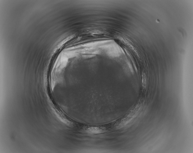 X0000112930390200909141338