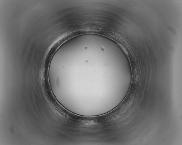 X0000112930392200909141338