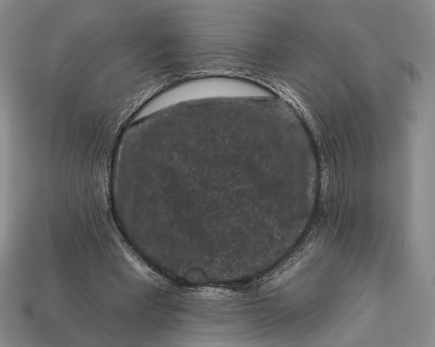 X0000112930393200909141338