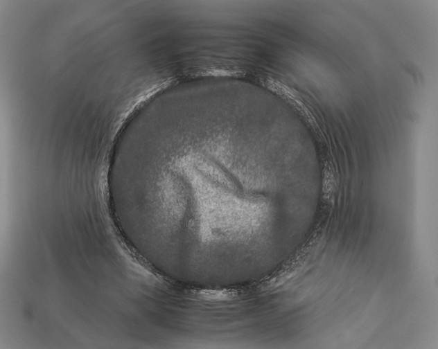 X0000112930394200909141338