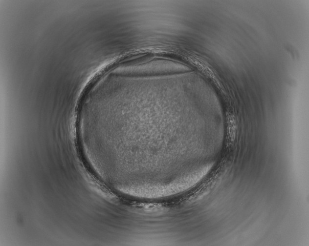 X0000112930395200909141338