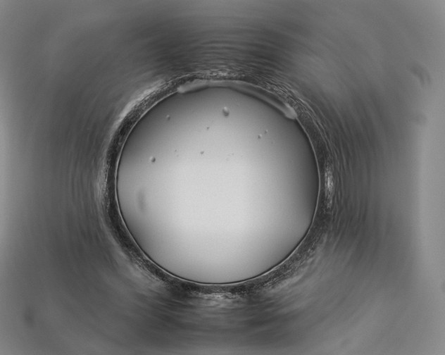 X0000112930396200909141338