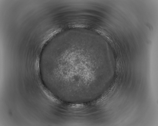 X0000112930398200909141338