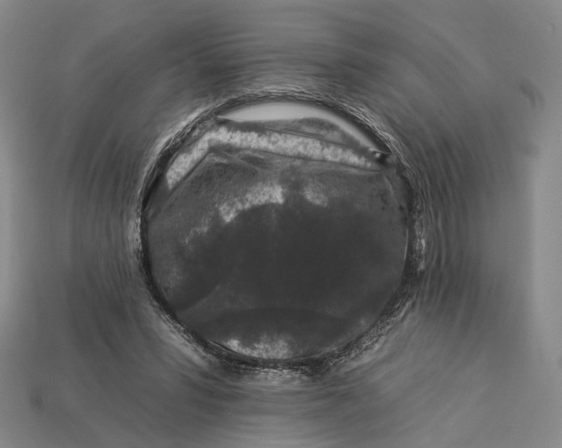 X0000112930399200909141338