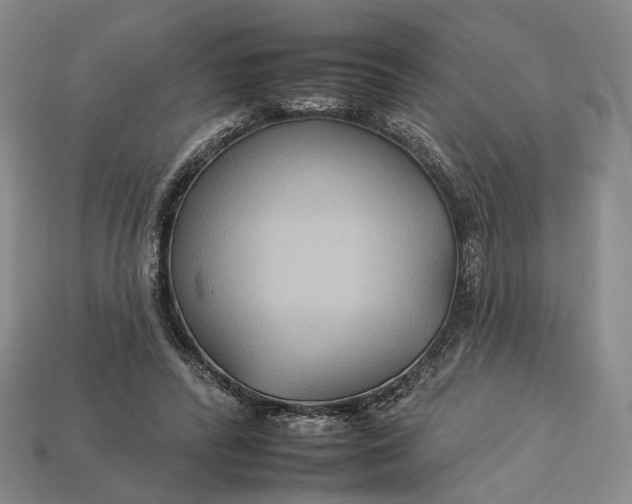 X0000112930400200909141338