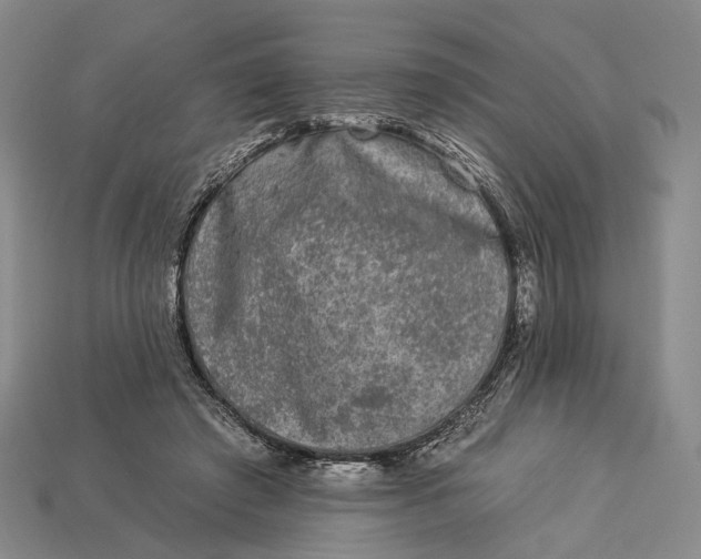 X0000112930401200909141338