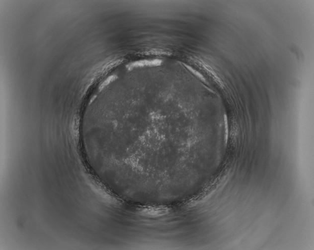 X0000112930402200909141338