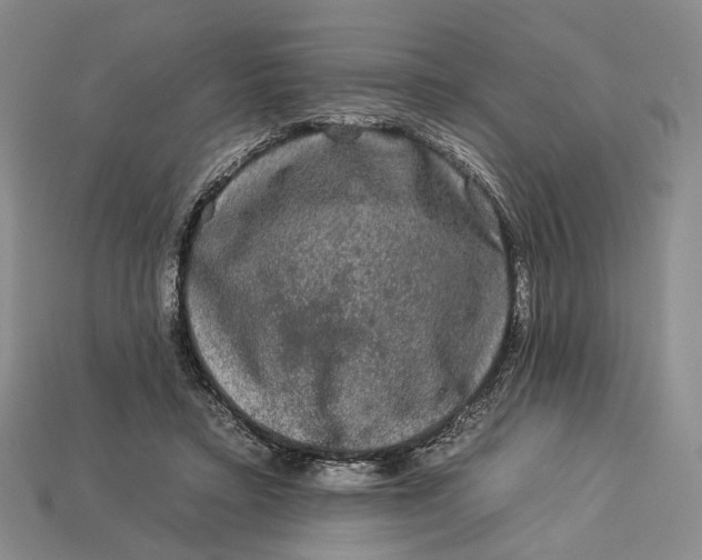 X0000112930403200909141338