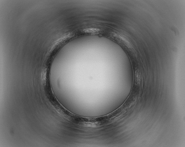 X0000112930404200909141337