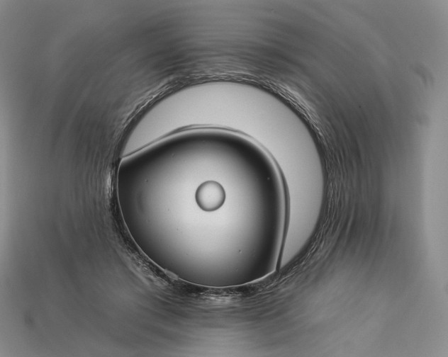 X0000112930405200909141337