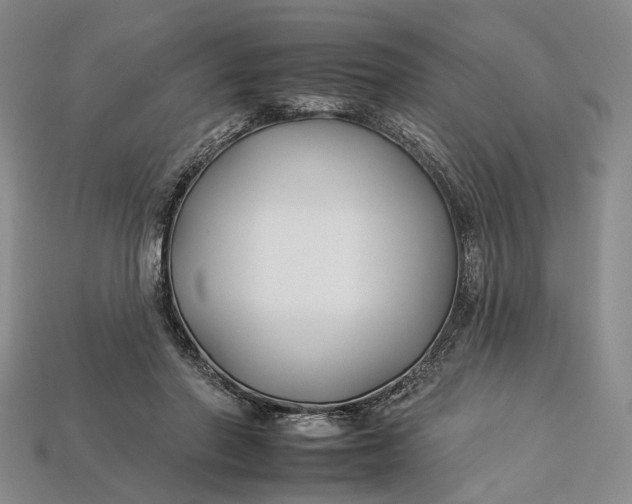 X0000112930406200909141337