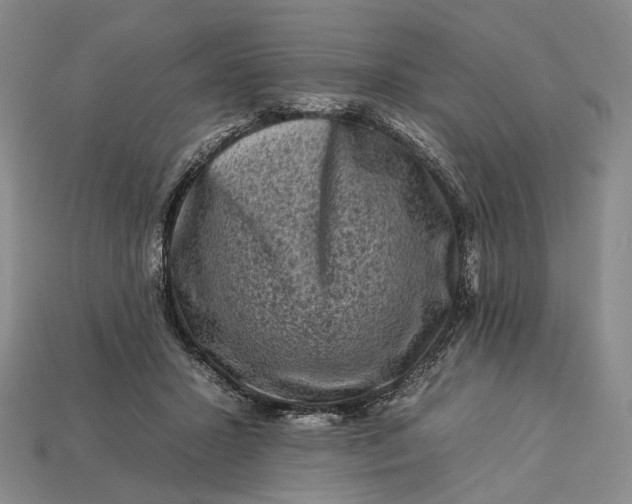 X0000112930407200909141337