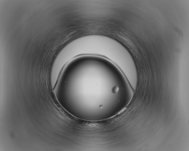 X0000112930409200909141337