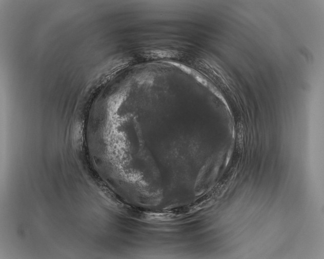 X0000112930410200909141337