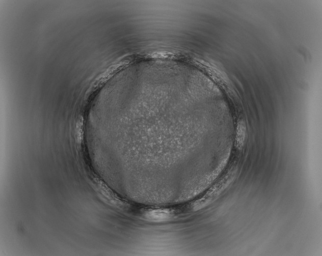 X0000112930413200909141337