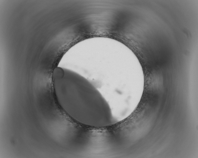 X0000112930415200909141337