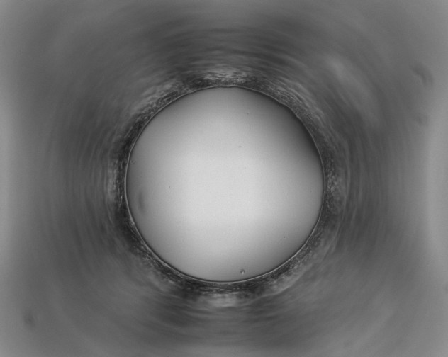 X0000112930416200909141337