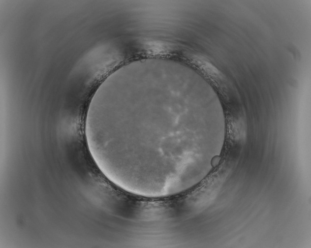 X0000112930419200909141337