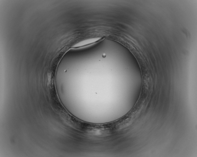 X0000112930420200909141337