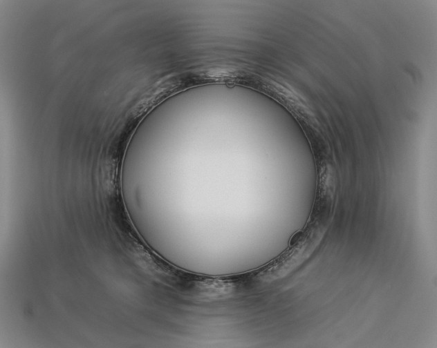 X0000112930421200909141337