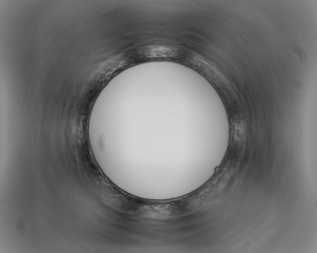 X0000112930422200909141337