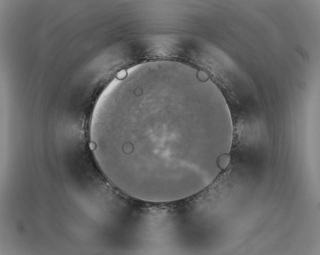 X0000112930423200909141337