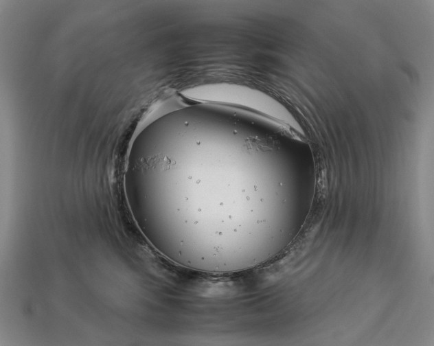 X0000112930424200909141337