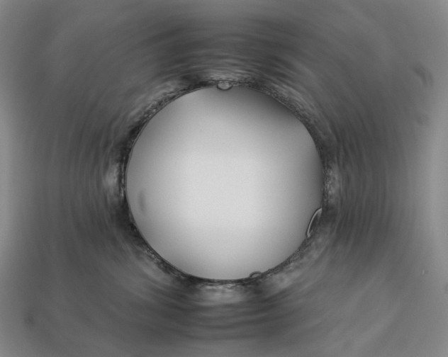 X0000112930428200909141337