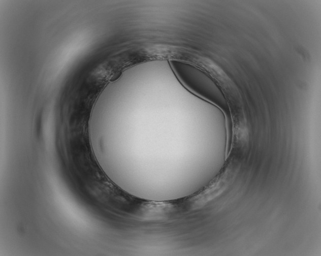 X0000112930429200909141337