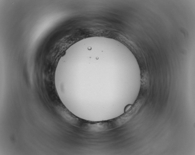 X0000112930430200909141337