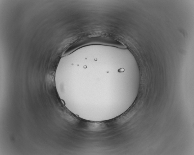 X0000112930432200909141337