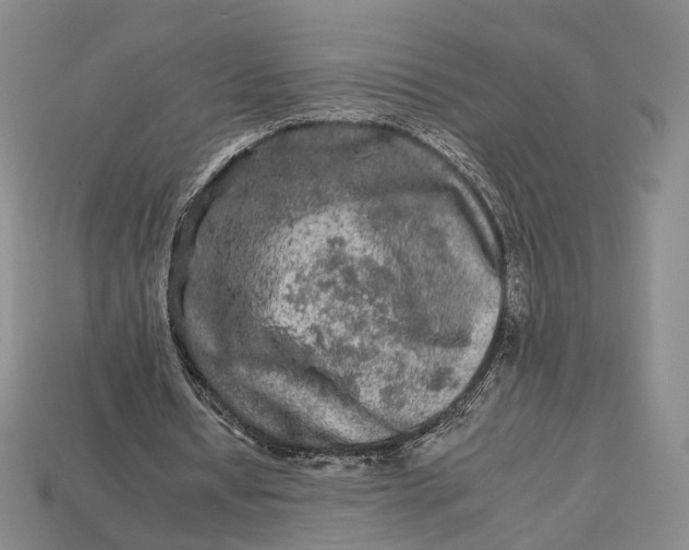 X0000112930434200909141337