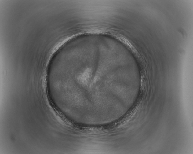 X0000112930436200909141337