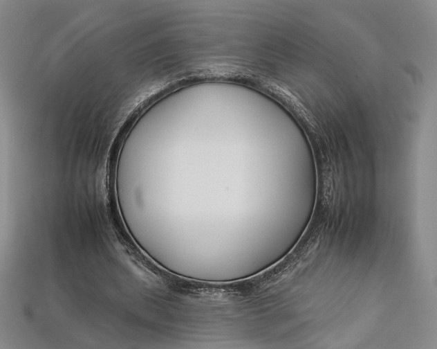 X0000112930439200909141337