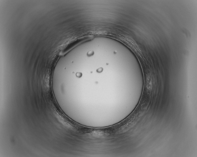 X0000112930441200909141337