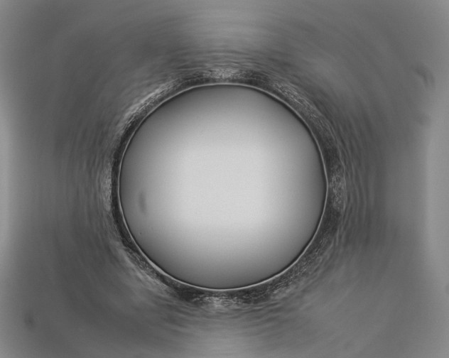 X0000112930442200909141337