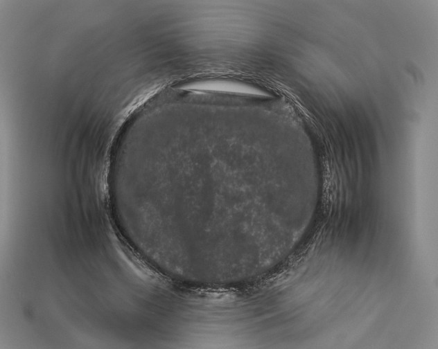 X0000112930443200909141337