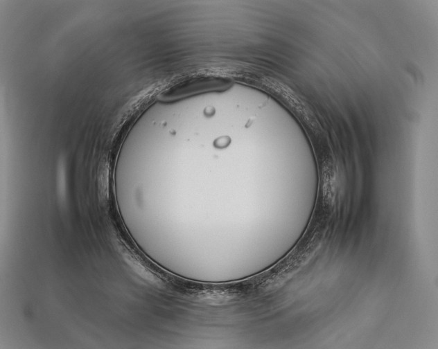 X0000112930445200909141337