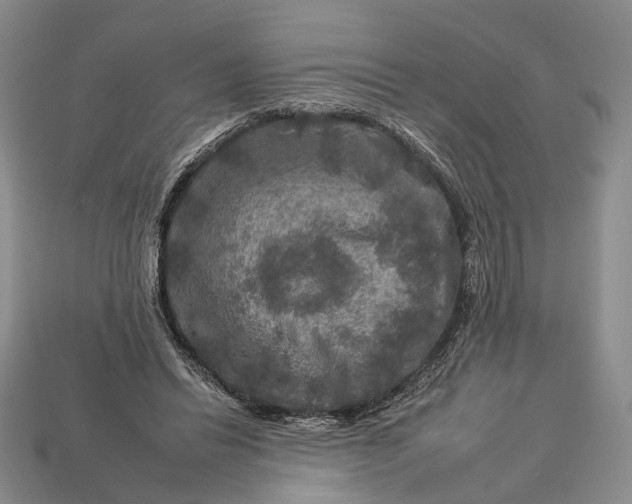 X0000112930446200909141337