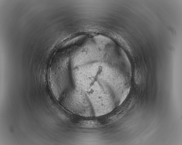 X0000112930449200909141337