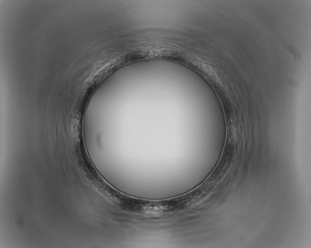 X0000112930450200909141337