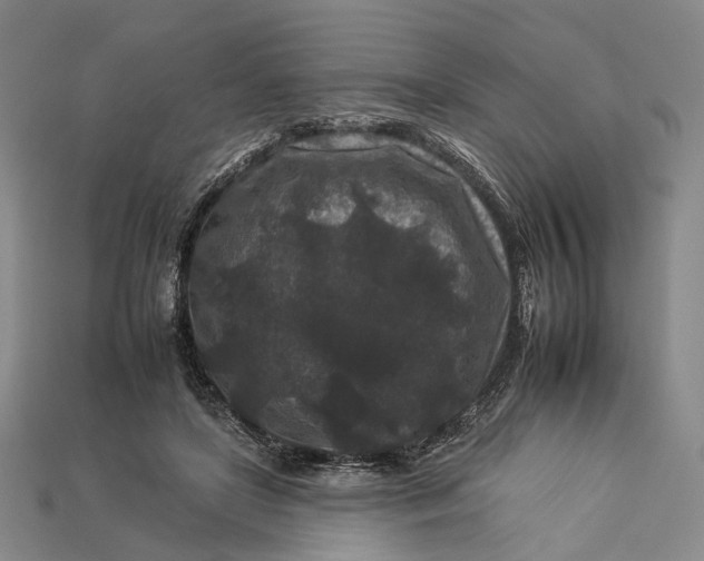 X0000112930451200909141337