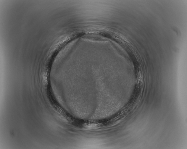 X0000112930452200909141337