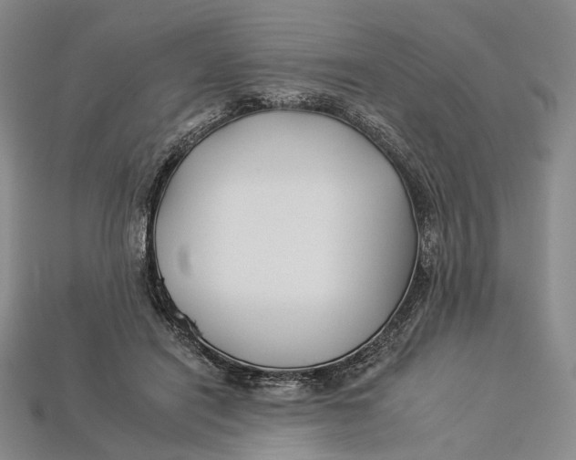 X0000112930454200909141337