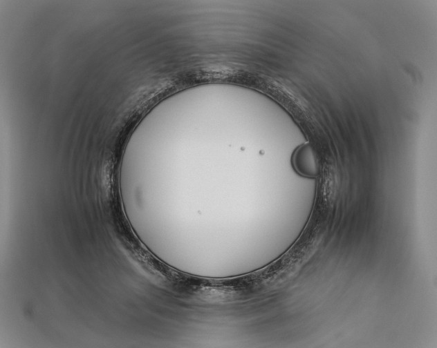 X0000112930455200909141337